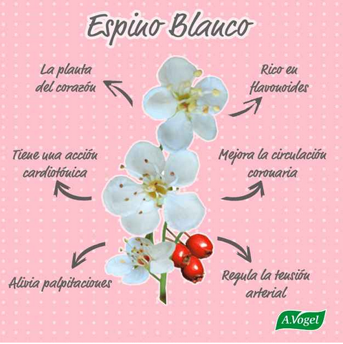 espino blanco